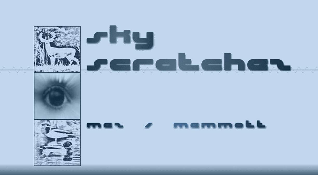 Sky Scratchez